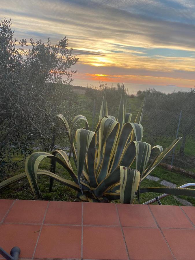 Ferienwohnung Sunset House Castiglioncello Exterior foto